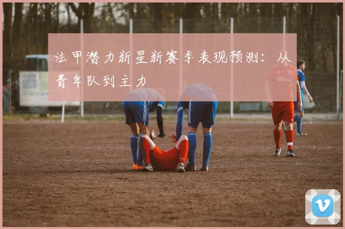 法甲潜力新星新赛季表现预测：从青年队到主力