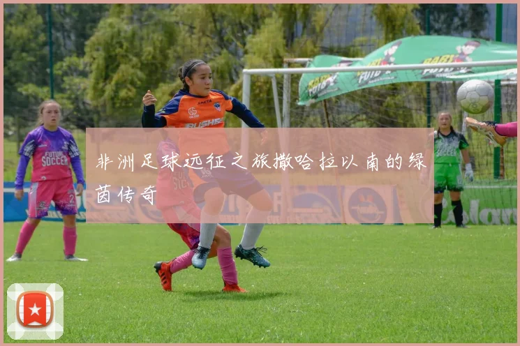 非洲足球远征之旅撒哈拉以南的绿茵传奇