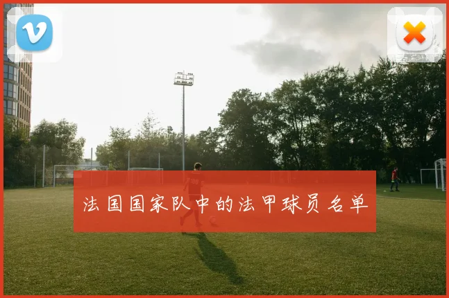 法国国家队中的法甲球员名单